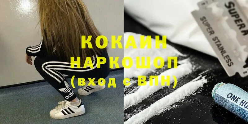 Кокаин FishScale  Камышлов 